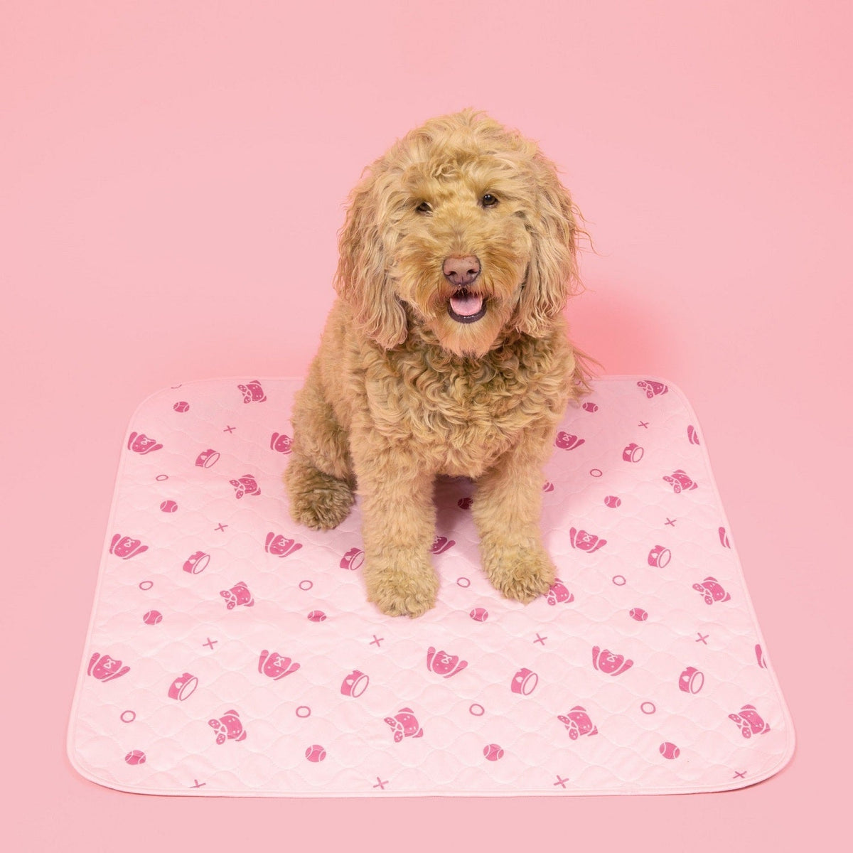 Washable Dog Pee Pads — Reusable, Leak-Proof