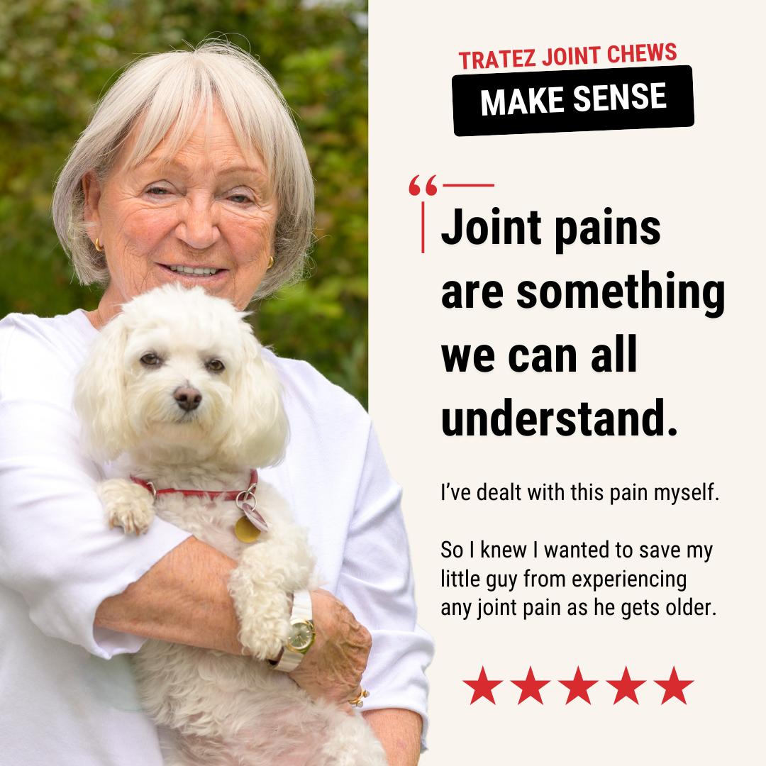 Hip & Joint Chews for Dogs — Mobility Support