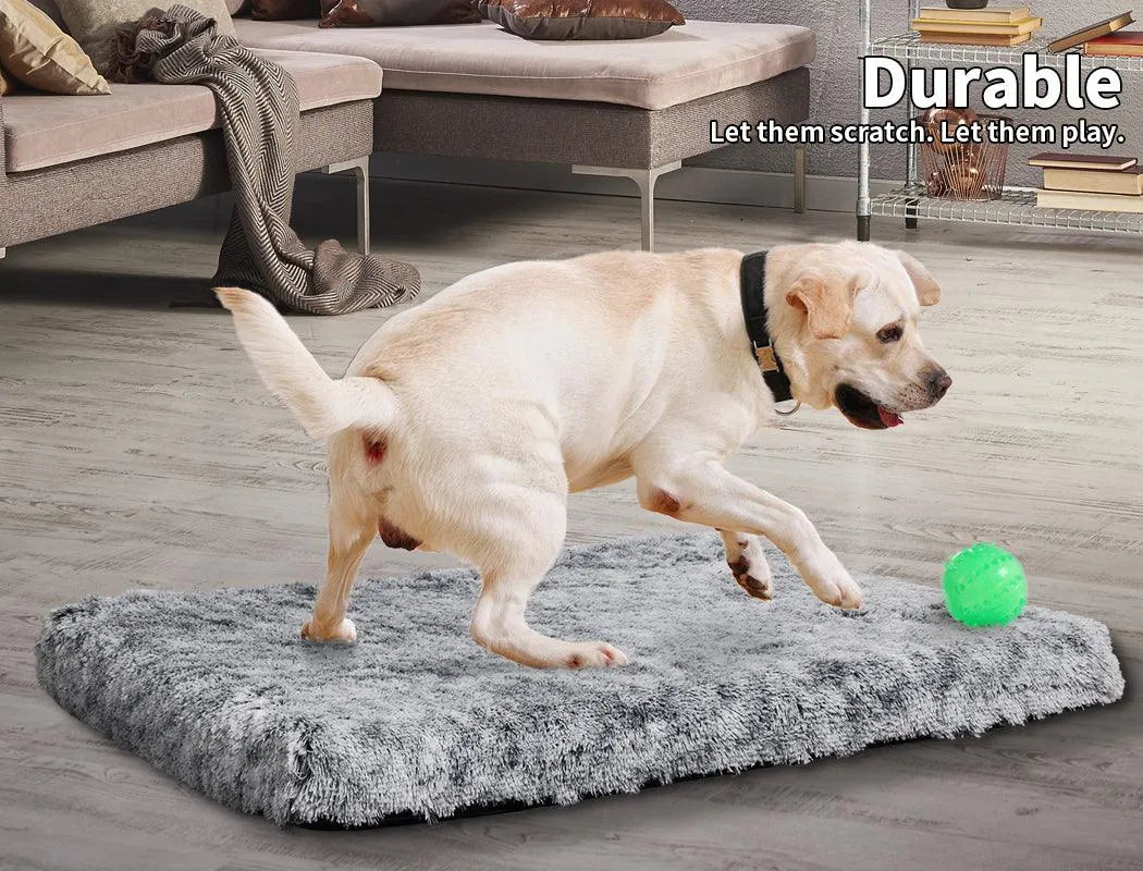 Premium SuperMat Calming Bed