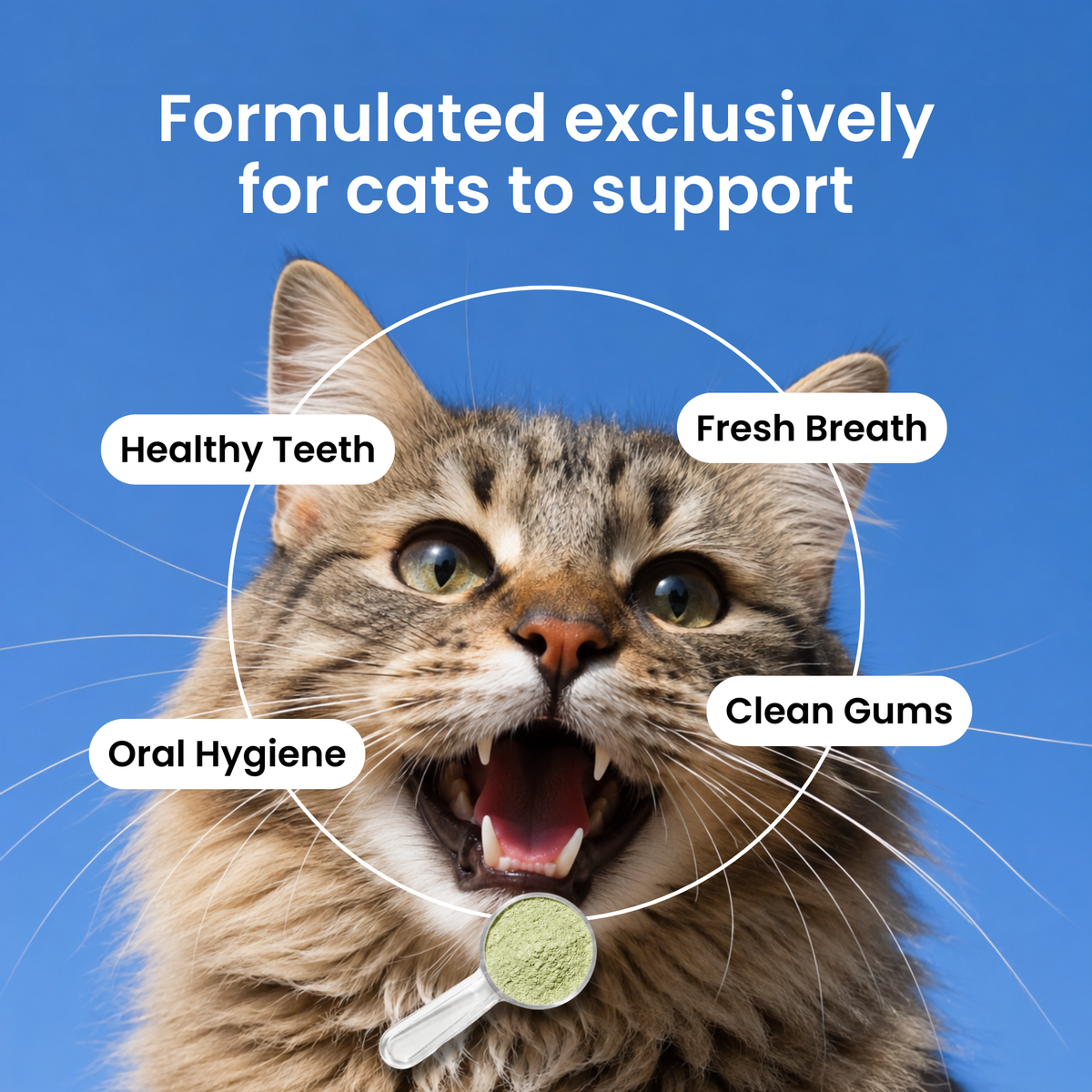 Cat Dental Powder — Fresh Breath, No Brushing