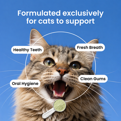 Cat Dental Powder — Fresh Breath, No Brushing