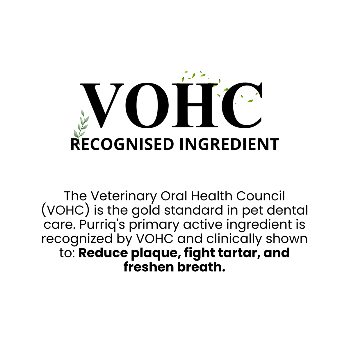 Cat Dental Powder — Fresh Breath, No Brushing