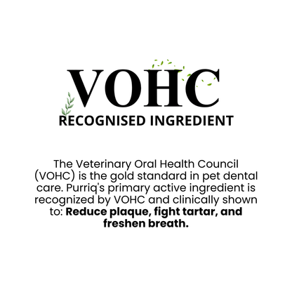 Cat Dental Powder — Fresh Breath, No Brushing
