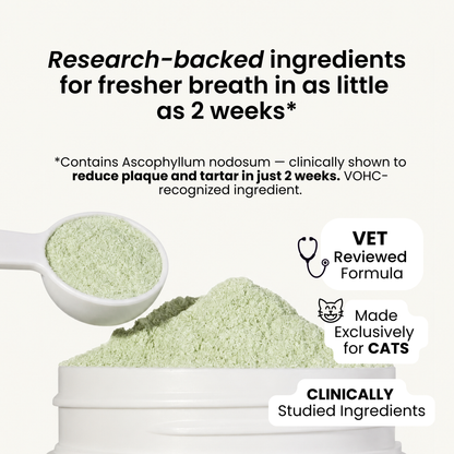 Cat Dental Powder — Fresh Breath, No Brushing