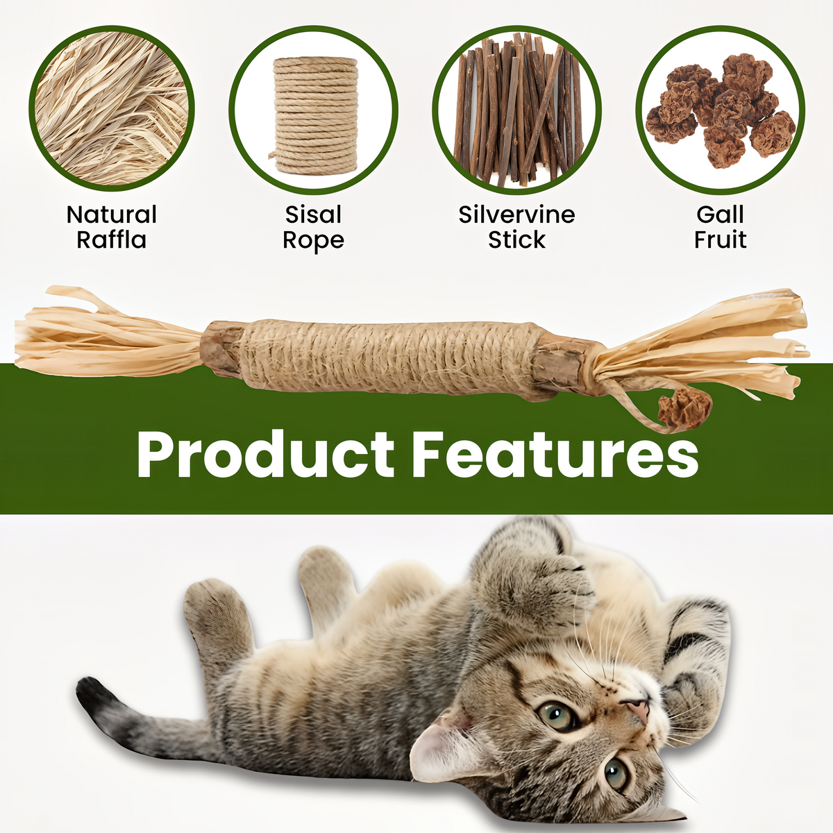 Silvervine Dental Sticks for Cats — Teeth & Play