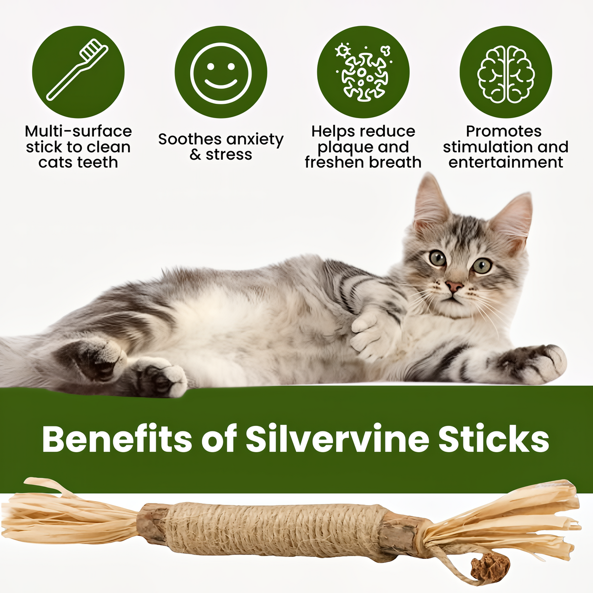 Silvervine Dental Sticks for Cats — Teeth & Play