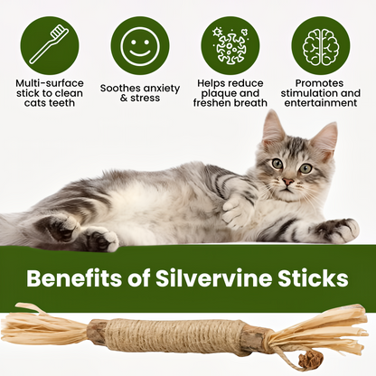Silvervine Dental Sticks for Cats — Teeth & Play