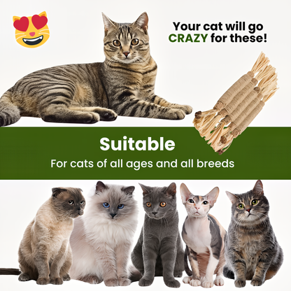 Silvervine Dental Sticks for Cats — Teeth & Play