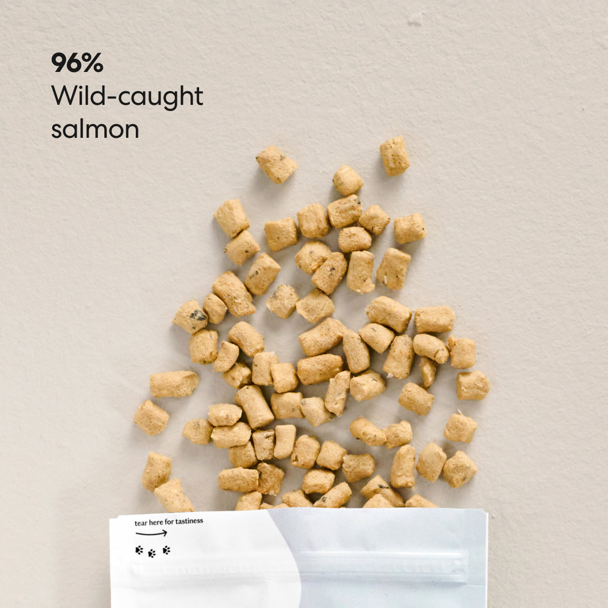Freeze-Dried Salmon Cat Treats — Single Ingredien
