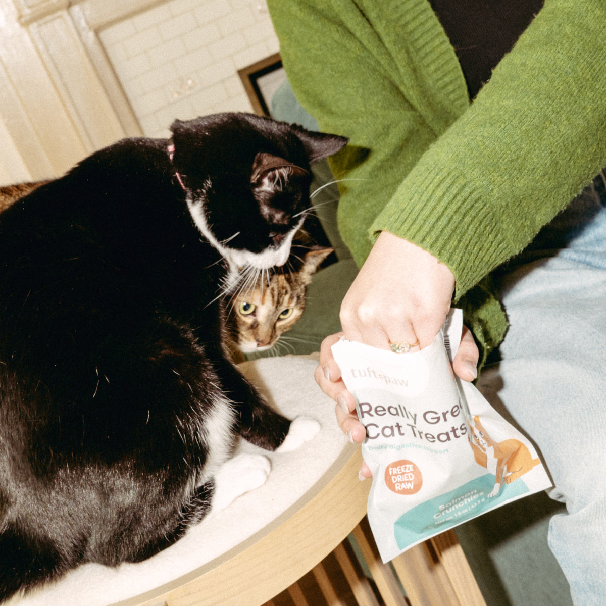 Freeze-Dried Salmon Cat Treats — Single Ingredien