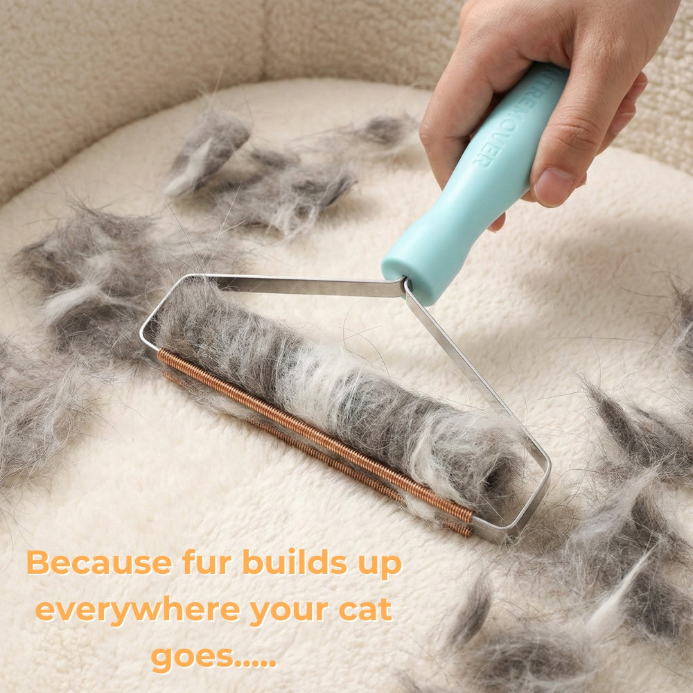 Reusable Pet Hair Remover — Furniture & Couch