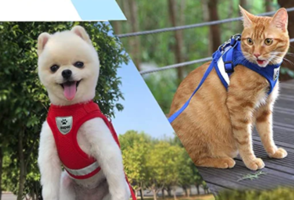 Cat Harness with Leash