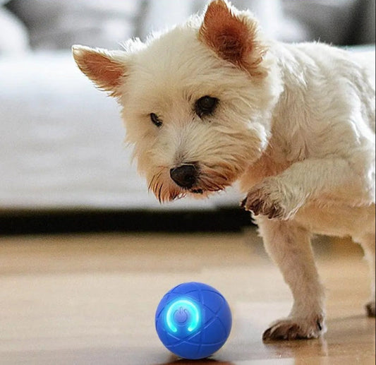DogCatFri™ InteractiveBall: Rechargeable Interactive Pet Toy Ball