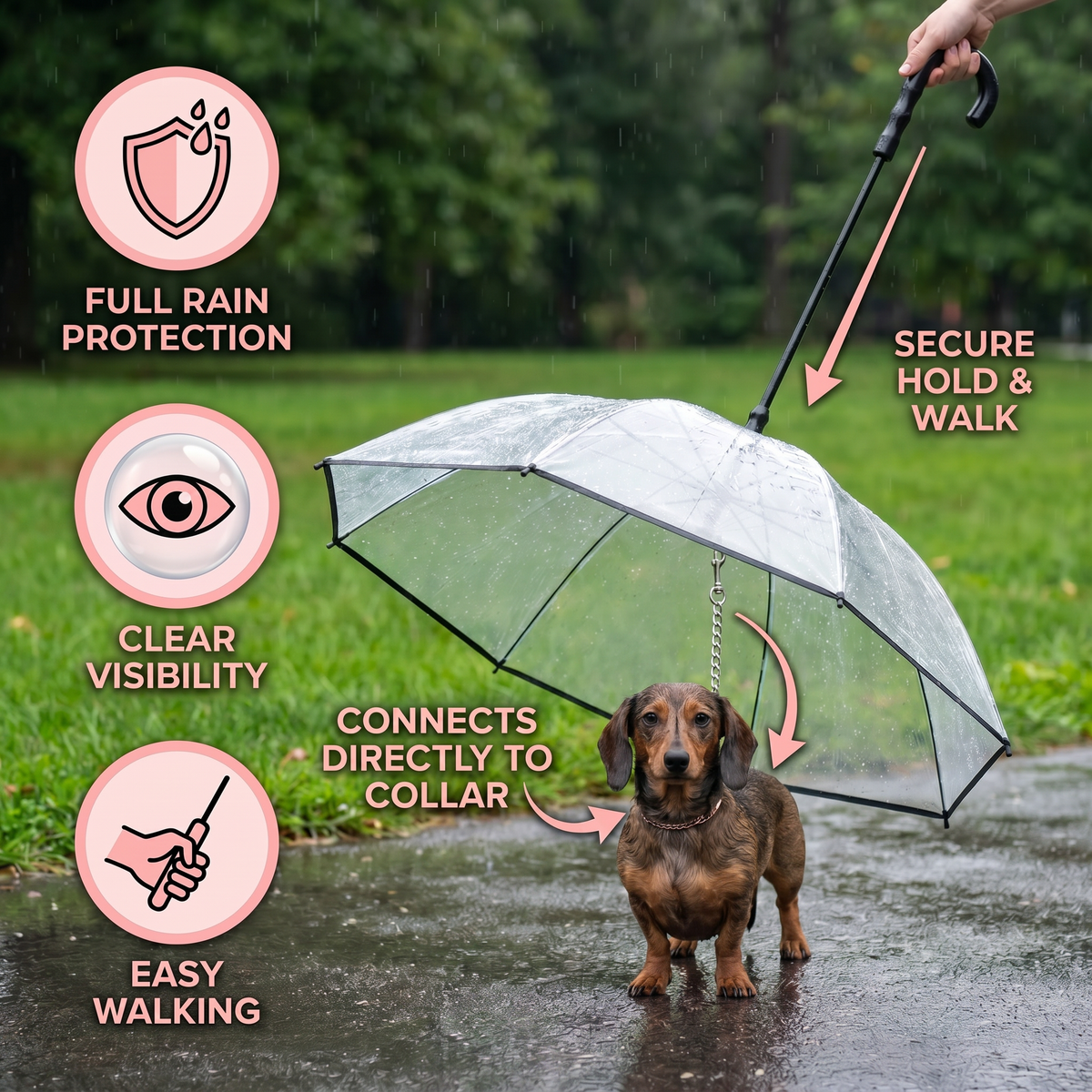 Transparent Dog Umbrella with Leash for Small Dogs