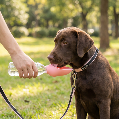 Silicone Dog Drinking Cap for Bottles