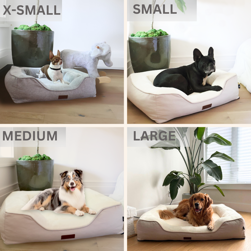 Premium Orthopedic Bolstered Dog Bed – Ultra-Comfort Support