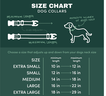 Adventure Dog Collar — Durable, Locking Buckle