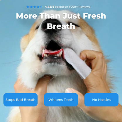 Dental Finger Wipes for Dogs & Cats — Fresh Breath