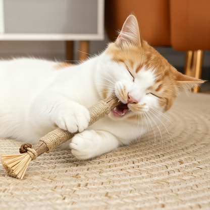 Silvervine Dental Sticks for Cats — Teeth & Play