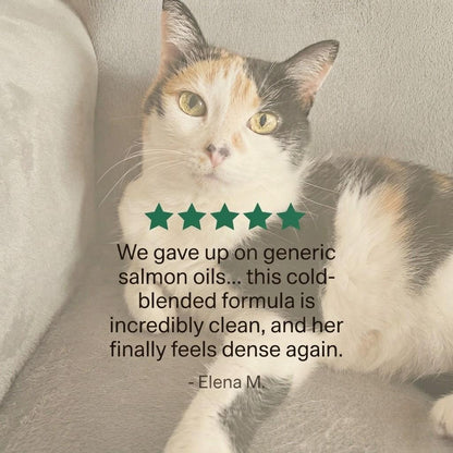 Skin & Vitality Omega-3 Drops