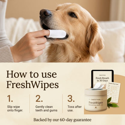 Dental Finger Wipes for Cats & Dogs — Fresh Breath
