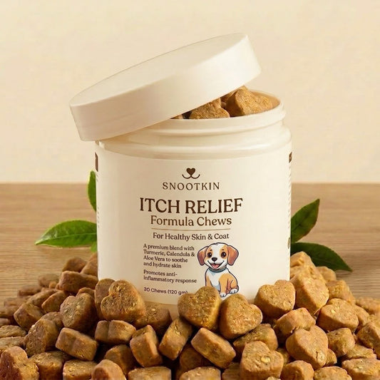 Skin & Coat Chews for Dogs — Omega Supplement