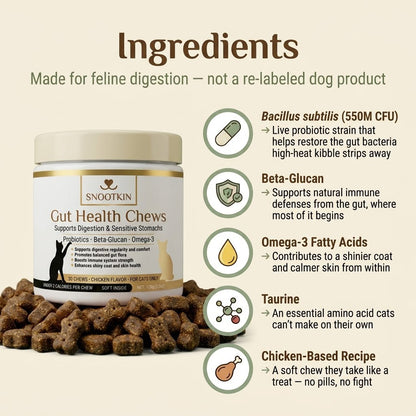 Probiotic Chews for Cats — Gut Health Support