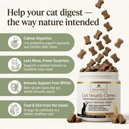 Probiotic Chews for Cats — Gut Health Support