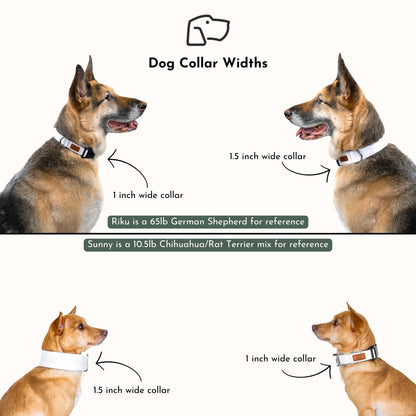 Adventure Dog Collar — Durable, Locking Buckle