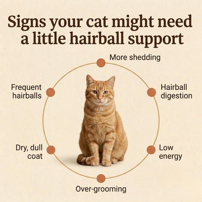 Hairball Control Chews for Cats — Skin & Coat
