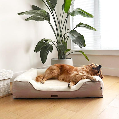 Premium Orthopedic Bolstered Dog Bed – Ultra-Comfort Support