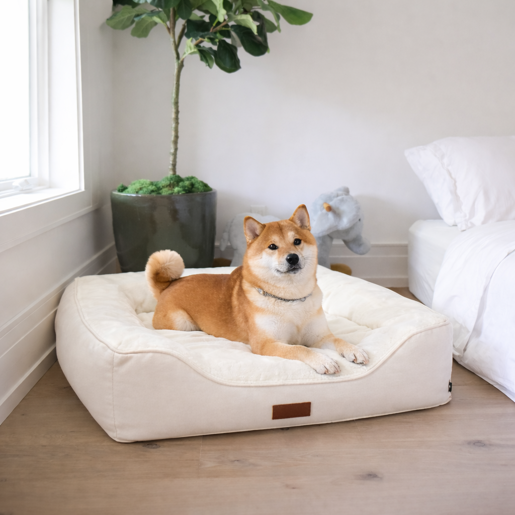 Premium Orthopedic Bolstered Dog Bed – Ultra-Comfort Support