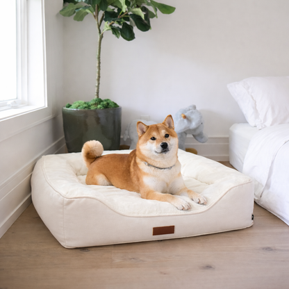 Premium Orthopedic Bolstered Dog Bed – Ultra-Comfort Support