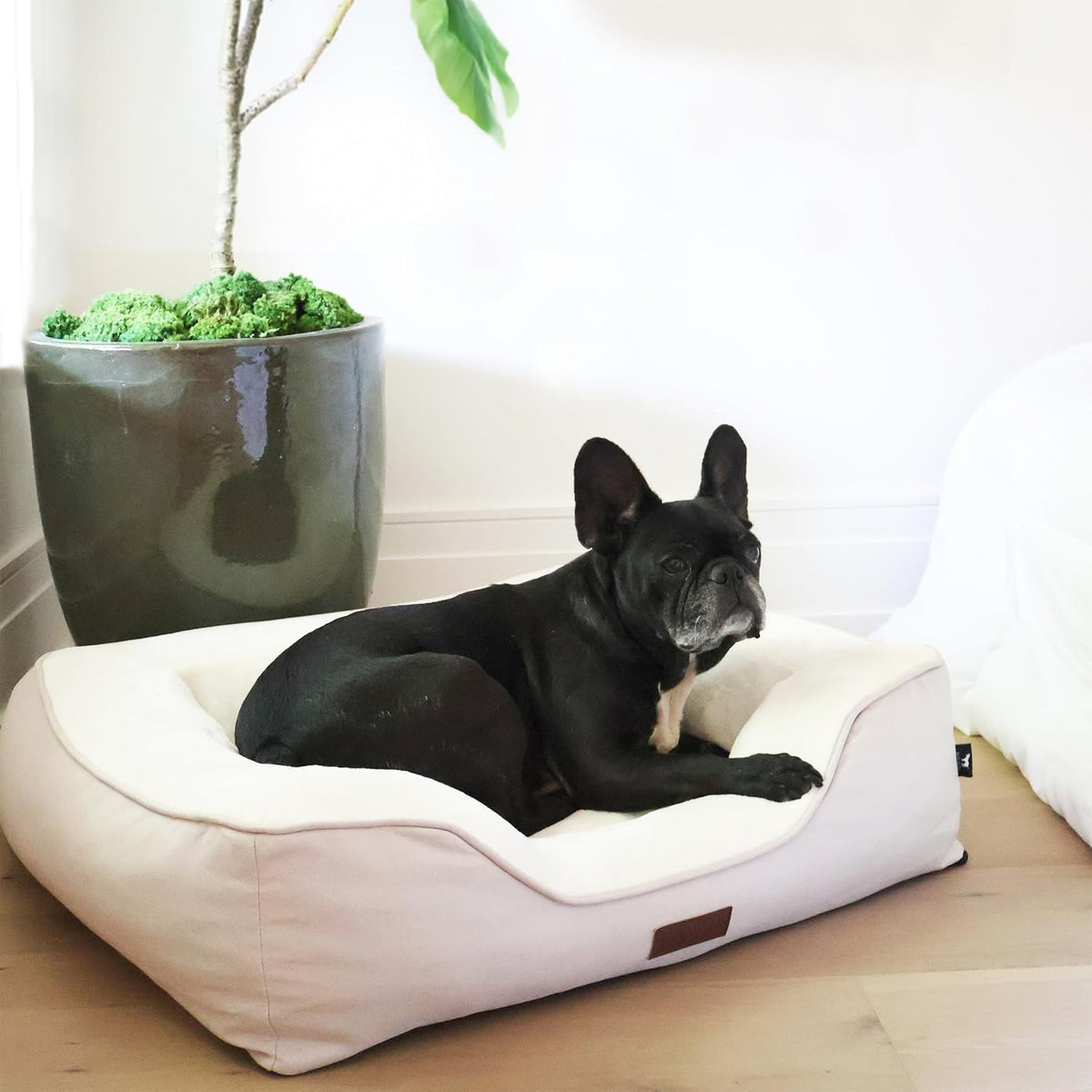 Premium Orthopedic Bolstered Dog Bed – Ultra-Comfort Support