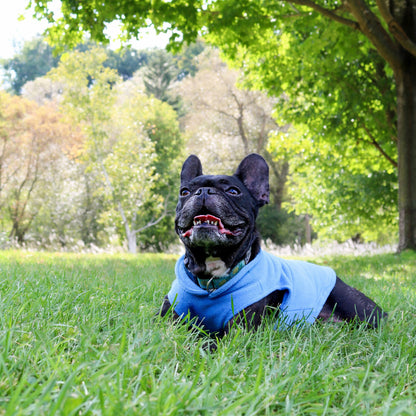 Dog Fleece Sweater with Leash Ring