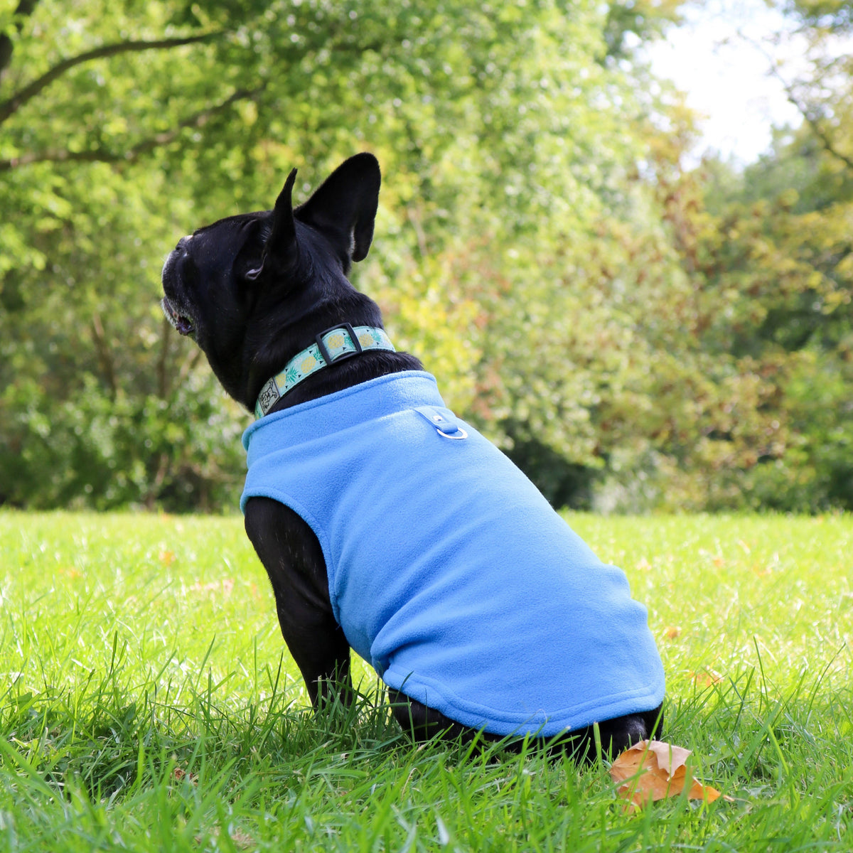 Dog Fleece Sweater with Leash Ring