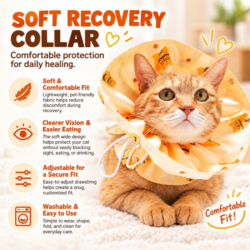 Safety Breakaway Cat Collar