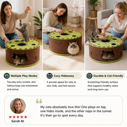 4-in-1 Foldable Cat Tunnel House – Interactive Hideaway, Scratcher & Play Bed