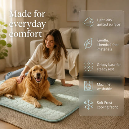 Premium Non-Toxic Cooling Dog Mat for Summer