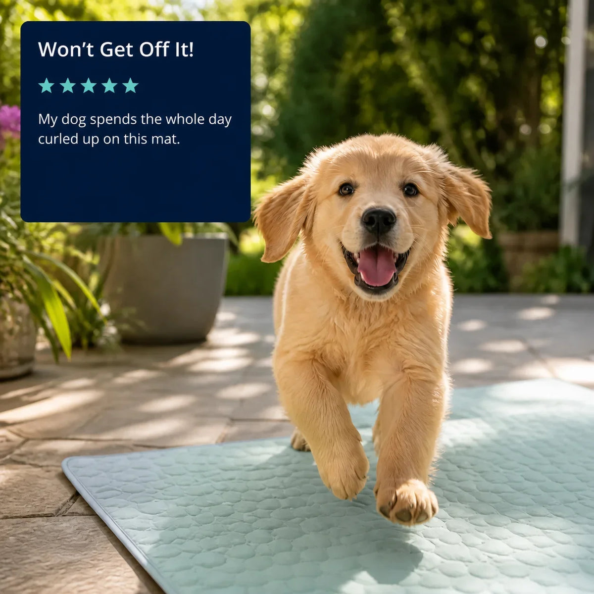 Premium Non-Toxic Cooling Dog Mat for Summer