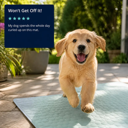 Premium Non-Toxic Cooling Dog Mat for Summer