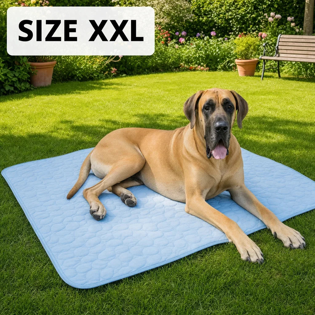 Premium Non-Toxic Cooling Dog Mat for Summer