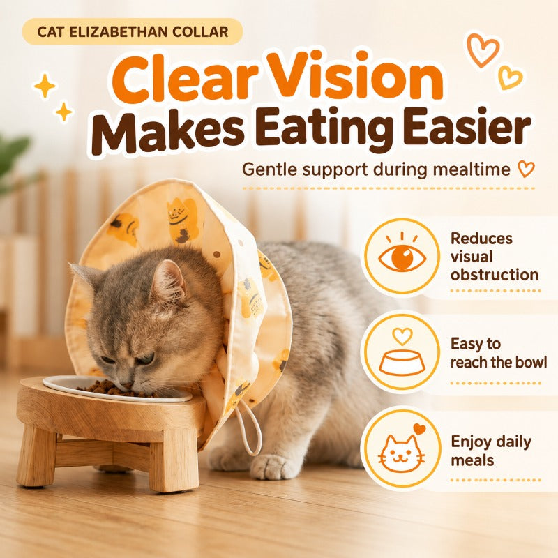 Safety Breakaway Cat Collar