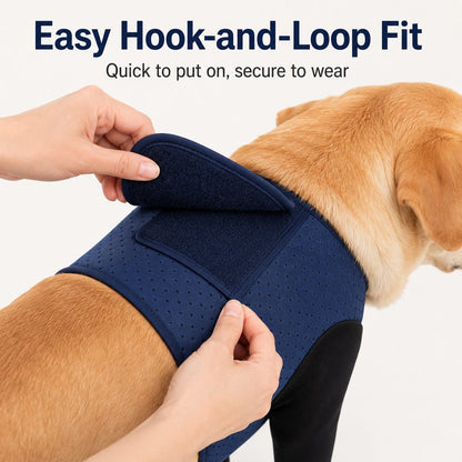 PawGuard Dual Front Leg Recovery Sleeves for Dogs - Cone-Free Anti-Lick Protection for Post-Surgery, Scratching & Sensitive Front Legs