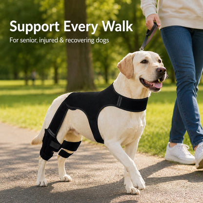 RearGuard Dog Rear Leg Support Brace - Anti-Slip Hind Leg Stability Wrap for Senior Dogs, Hardwood Floors & Recovery Walks