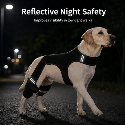 RearGuard Dog Rear Leg Support Brace - Anti-Slip Hind Leg Stability Wrap for Senior Dogs, Hardwood Floors & Recovery Walks