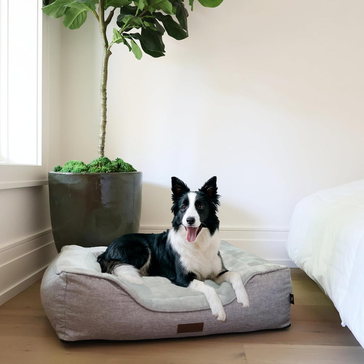 Premium Orthopedic Bolstered Dog Bed – Ultra-Comfort Support