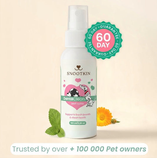 Dental Spray for Cats — Fresh Breath, No Brushing