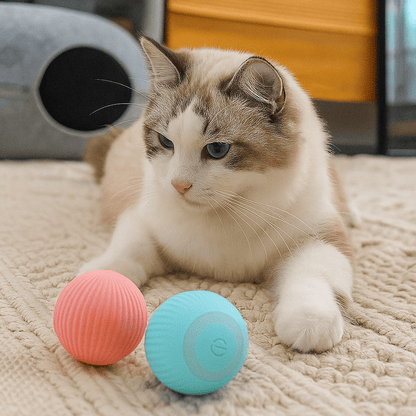 Snootkin Rolly Mate Ball