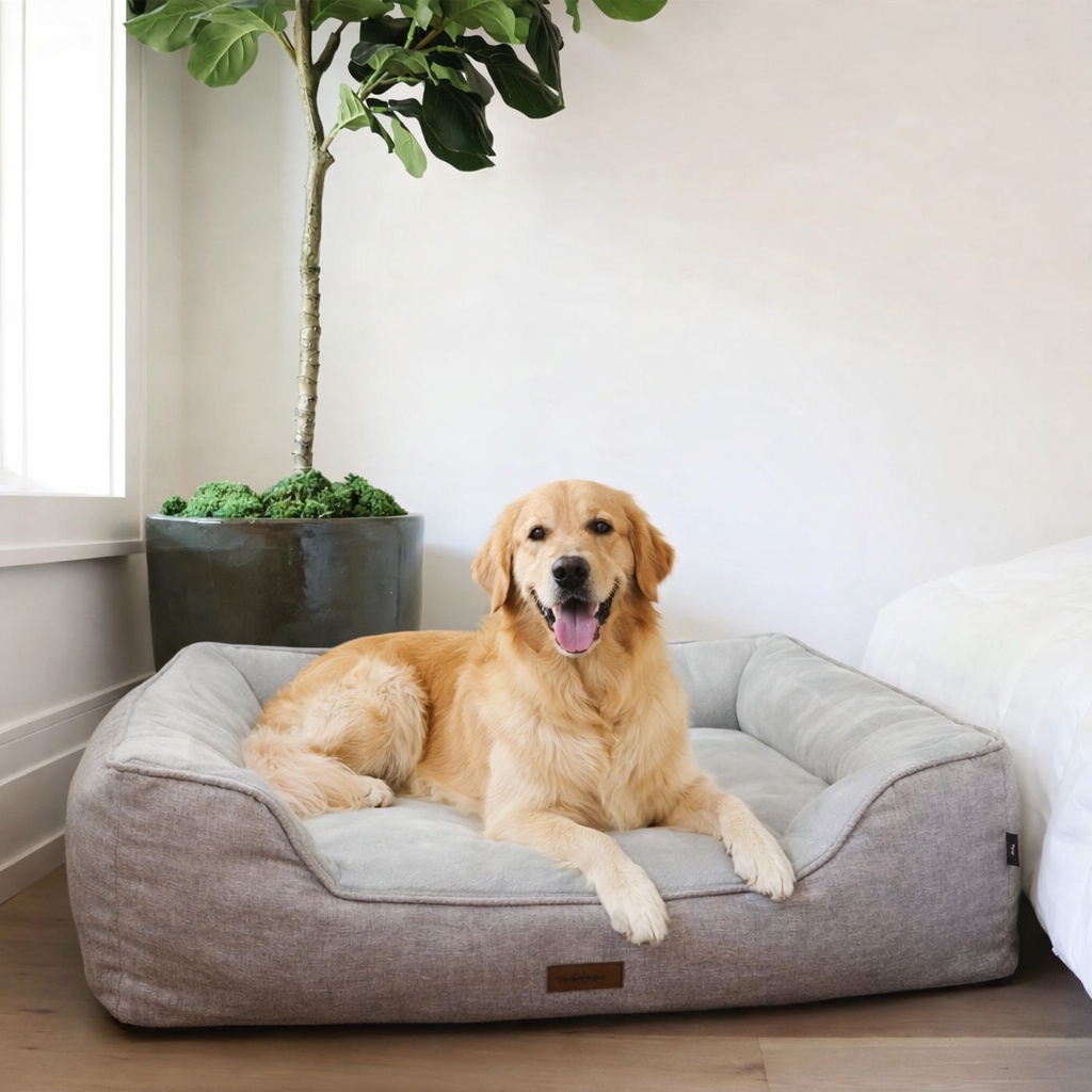 Premium Orthopedic Bolstered Dog Bed – Ultra-Comfort Support